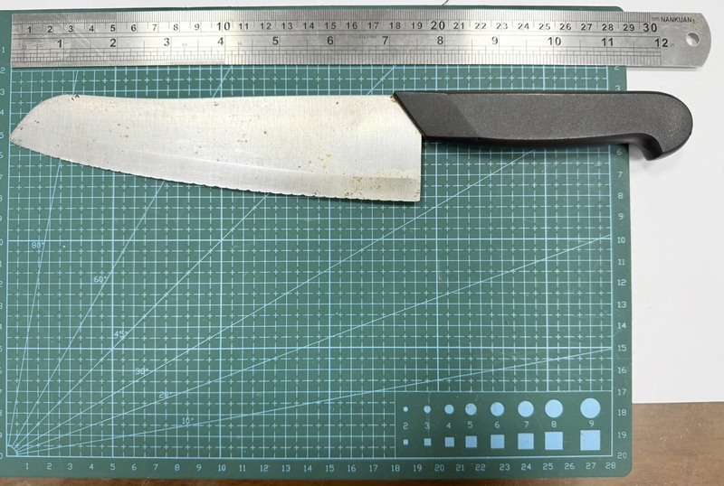 李姓男子9日凌晨搭計程車至總統府前欲持刀（圖）闖入，遭警方和憲兵協力壓制逮捕送辦。（翻攝照片）

