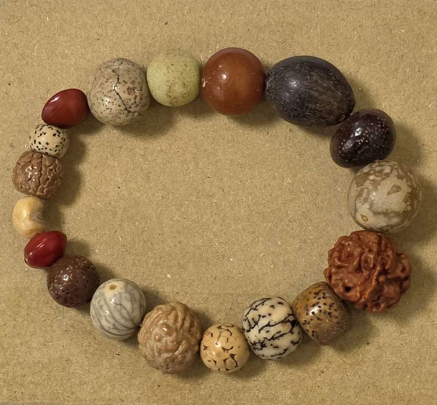 種子植物工藝品─種子手環