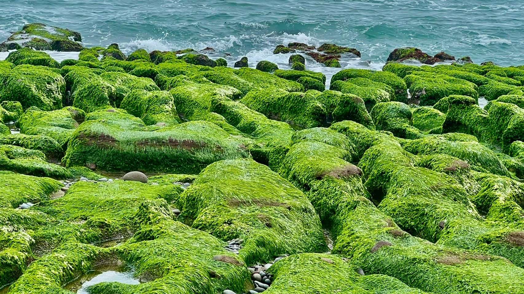 春日限定美景！走訪北海岸「老梅綠石槽」正綠時節

