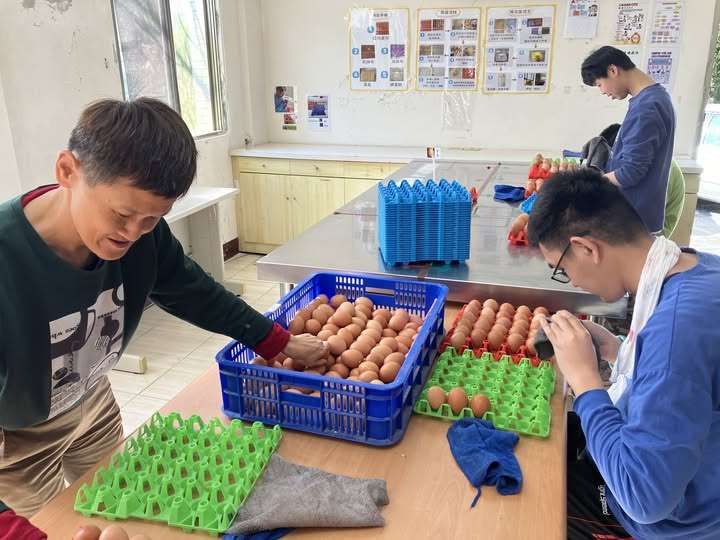 花蓮黎明機構的方舟畜牧場長期以來協助心智障礙學員接受職訓，以友善方式養雞並生產雞蛋。所生產噹家好蛋由於品質優異不斷受到各方肯定。學員每每到其他地方，都自豪地說自己的工作是擦蛋，每個擦蛋步驟都琅琅上口。(攝自黎明機構臉書)