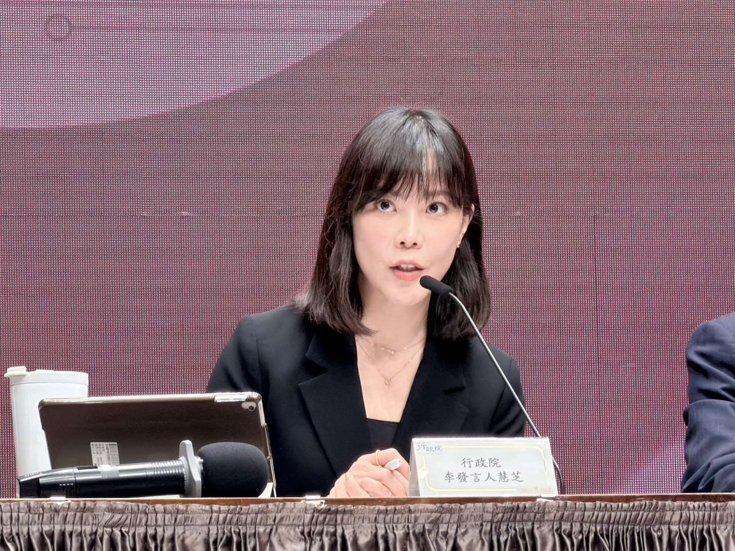 行政院發言人李慧芝。(資料照 鄭佑漢/攝)