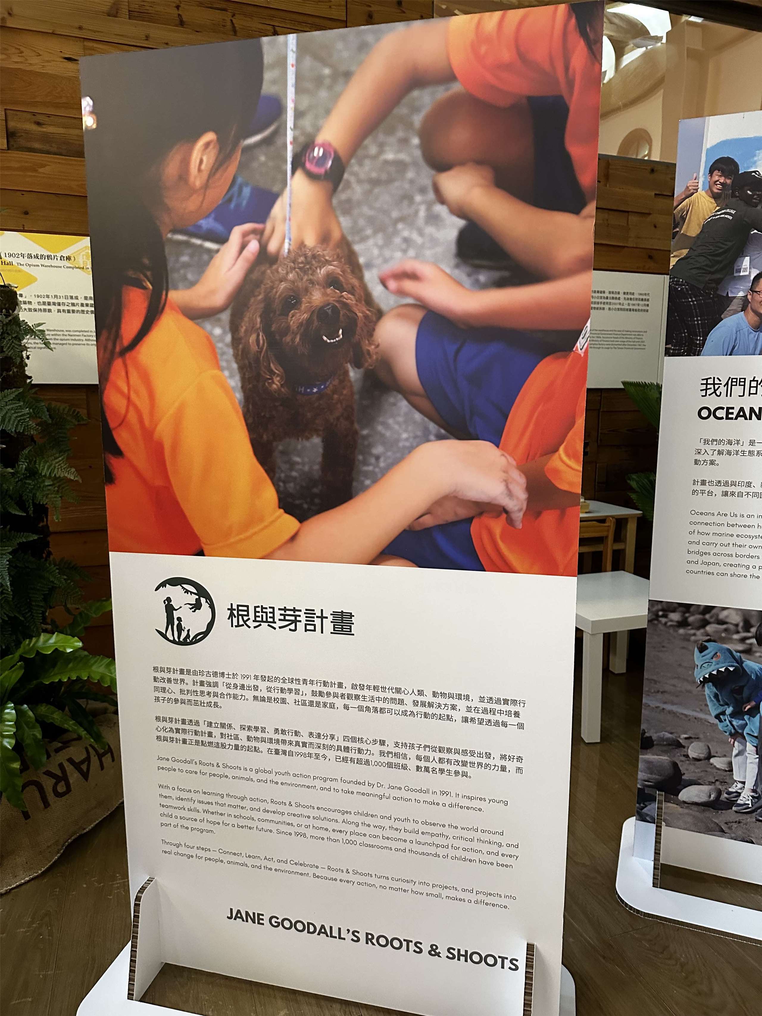 珍古德在台灣特展中展示的根與芽計畫(楊雨青攝)