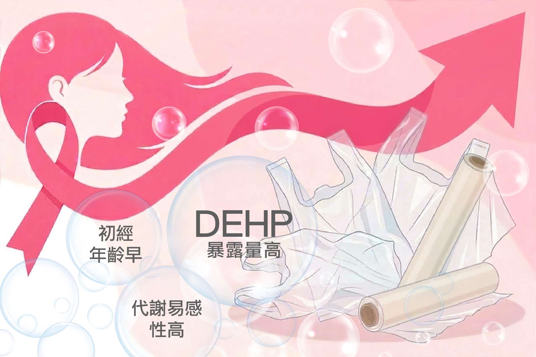 當環境 DEHP 暴露量高，併同代謝易感性高（代謝力弱）及初經年齡早時，三者產生的協同效應將導致乳癌風險大幅攀升，凸顯了在環境健康研究中考慮個人DEHP代謝能力的重要性。（圖：中央研究院）