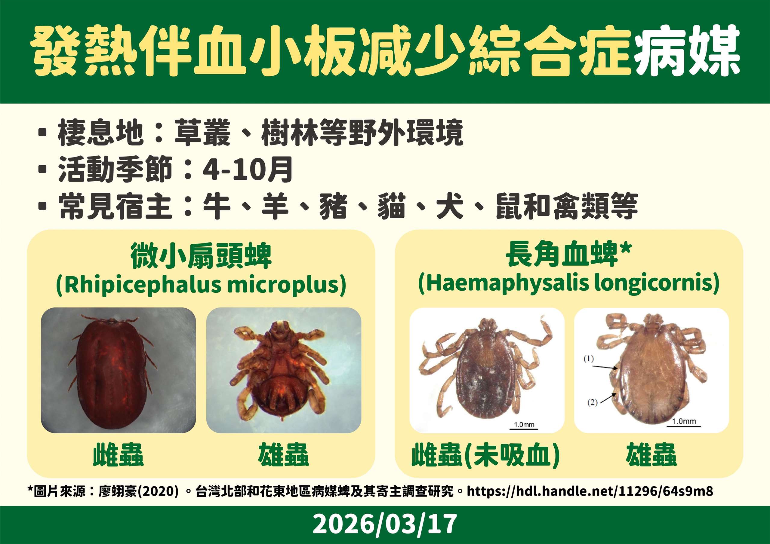 疾管署17日公布國內新增1例發熱伴血小板減少綜合症(SFTS)病例。(疾管署提供)