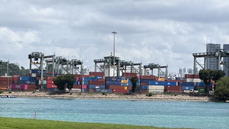 胡蘿蔔與棒子的博弈真相？美國祭出301條款調查意在何為？