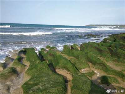 春季限定的夢幻景觀:新北市 老梅 綠石槽