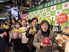 關西指標性通路「近鐵百貨阿倍野本店」12日舉行屏東農產品拓銷記者會，現場民眾爭相購買蜜棗與火龍果。
