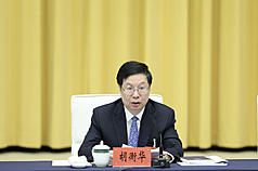 圖為3月6日，胡衡華在北京出席全國人大第四次會議重慶代表團開放團組會議。
（中新社提供）
