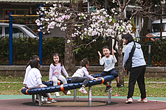 各地白天大多為多雲到晴的天氣，民眾帶著小孩到公園遊玩，享受春日時光。資料照片。
