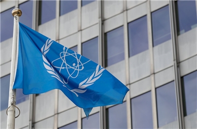 國際原子能總署(IAEA)。