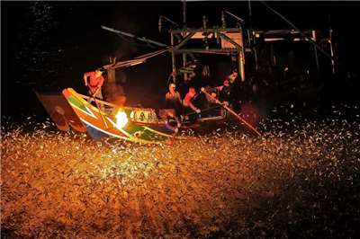 磺港蹦火  本照片轉載自金山區公所官網   拍攝者為 黃文權先生  