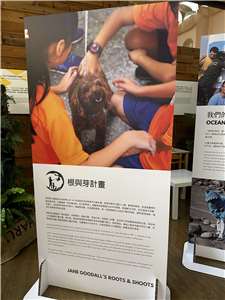  珍古德在台灣特展中展示的根與芽計畫(楊雨青攝)