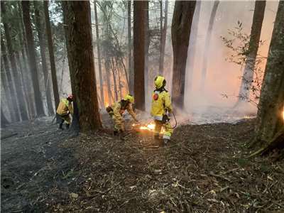 圖為森林火災地面搶救情形。(圖：林保署)
