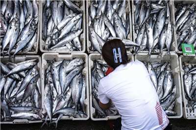 中國媒體調查發現，部分中國水產商涉及大量使用麻醉藥甚至工業用酒精，讓活魚在運送過程中保持休眠狀態，嚴重影響消費者健康。圖為中國魚市場一景，非新聞主角。資料照。(AFP)