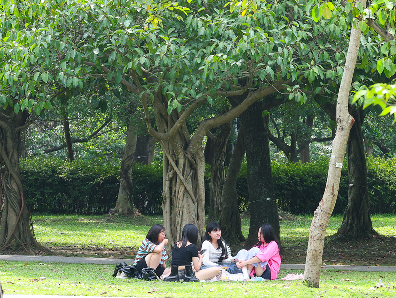民眾到台北市大安森林公園踏青，鋪開野餐墊放鬆聊天。資料照片。
