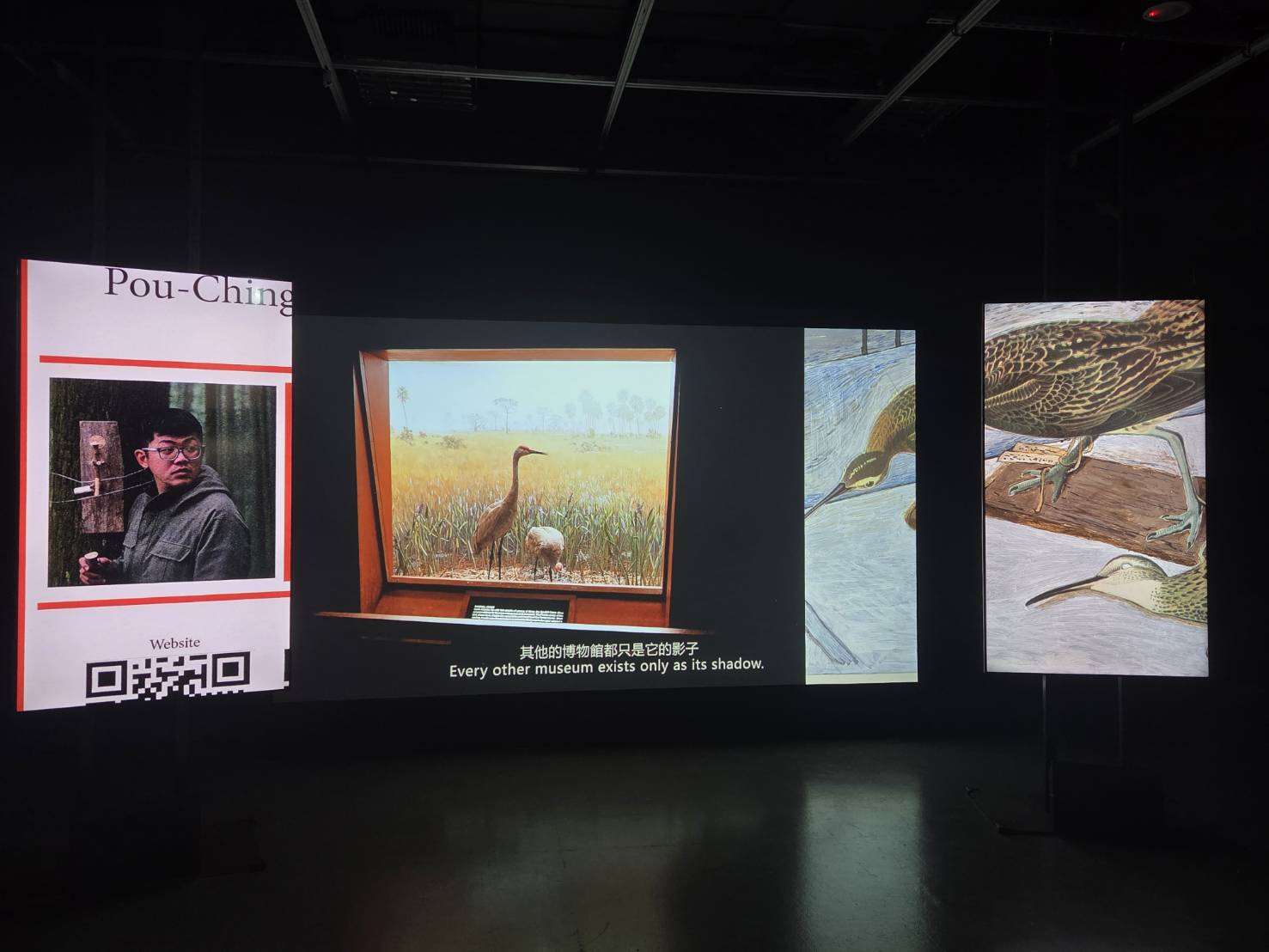 台北當代藝術館最新展覽《七日談—蔡咅璟個展》，探討人與動物之間是否能找到新的共存方式。(江昭倫 攝)