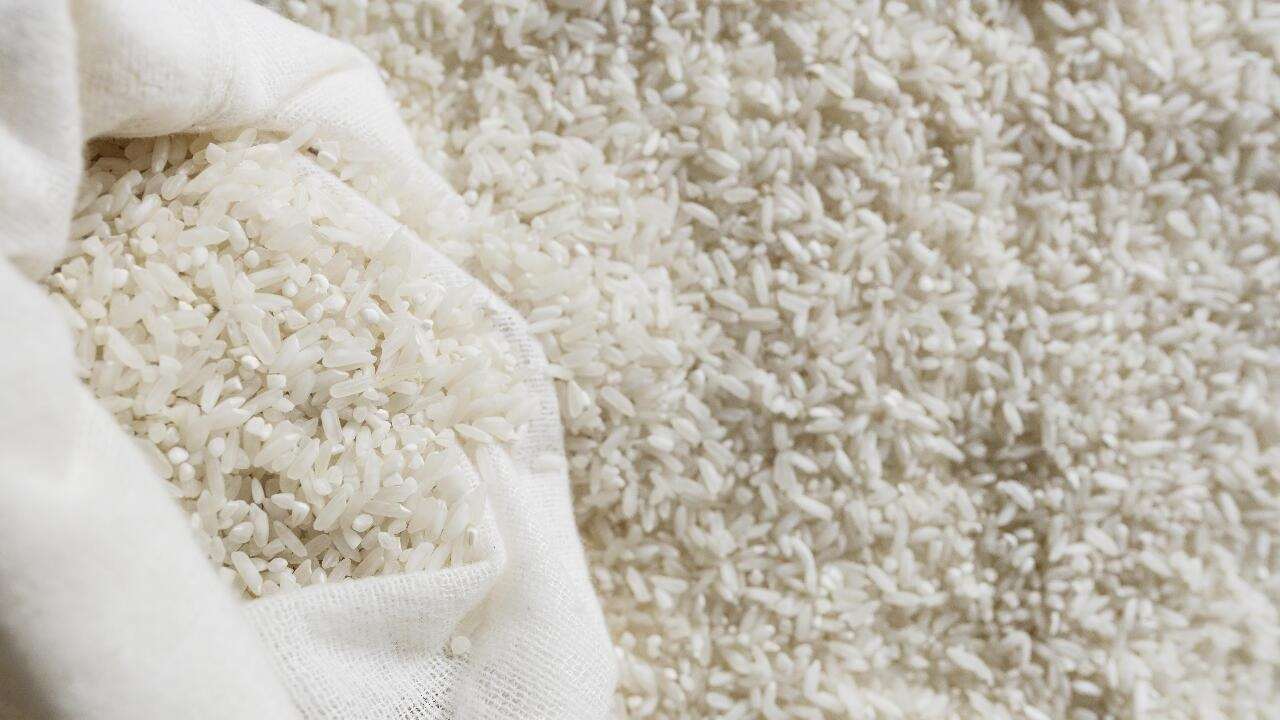 受伊朗戰爭加上聖嬰現象，全球稻米供應恐將下滑。示意圖。(Freepik圖庫)