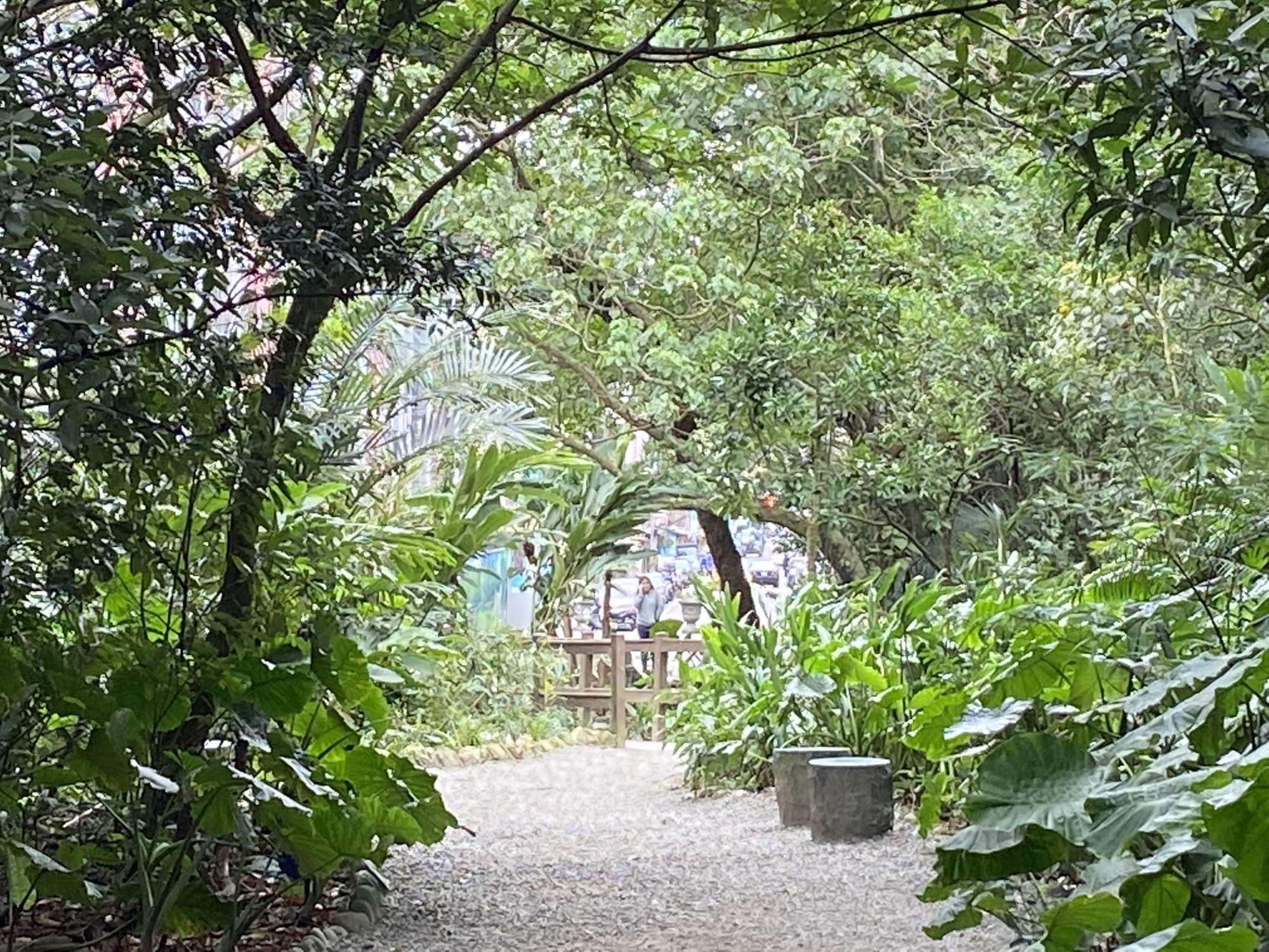 守護「淺山」棲地  生物多樣性的寶庫 episode artwork