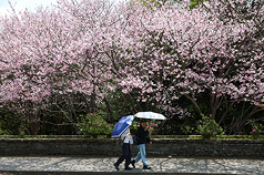 各地晴到多雲 溫度偏高。
