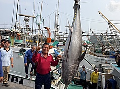 2026年屏東第一鮪出爐，由琉球籍漁船富漁慶2號捕獲，6日順利「驗明正身」，船長洪福家（前紅衣）開心與捕獲的「第一鮪」合影。