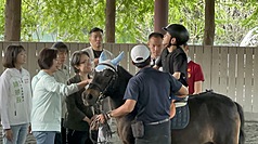 副總統蕭美琴（前左2）、民進黨立委何欣純（前左）11日南下台中走訪神岡區一處馬場，為腦麻兒阿戟（黑帽者）加油打氣，也了解適應性馬術推動兒童早療及身心支持等議題。