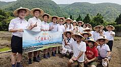 2026年是蓬萊米命名滿100週年，農業部22日在陽明山竹子湖原種田舉行「蓬萊米百年紀念插秧典禮」，農業部次長胡忠一（左1）與來自日本的農業專家及當年培育蓬萊米的日本技師末永仁的外曾孫久島紘樹（紅衣者）一同參與。資料照片。