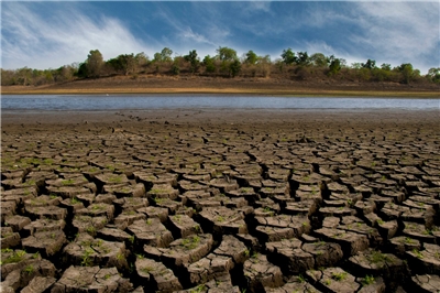 北韓今年面臨嚴重旱災。示意圖。(pexels 圖庫)