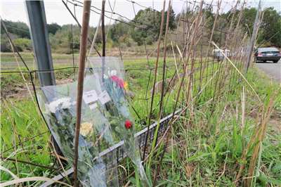 在日本京都發現一具疑似兒童遺體的現場，民眾綁上鮮花悼念。