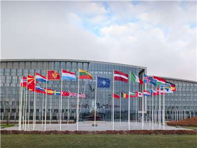 北大西洋公約組織(NATO)。