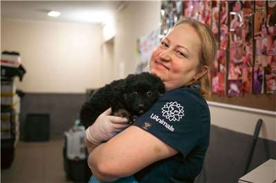 烏克蘭大型動保組織UAnimals長期投入前線地區動物的撤離、醫療和照護工作，從戰爭爆發以來，已從前線地區疏散了約1萬隻動物。(X平台/@UAnimalsENG)