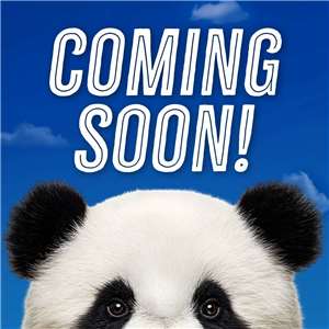 雄性大熊貓「平平」與雌性「福雙」將入住美國亞特蘭大動物園(Zoo Atlanta)，在一項為期10年的保育合作計畫下展開新生活。(FB@Zoo Atlanta)