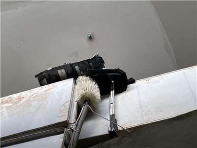 遊客直擊北市動物園陸龜展場有老鼠，園方27日回應表示已捕捉移除，並在兩棲爬蟲動物館展場內增設捕鼠刷防堵。(北市動物園提供)