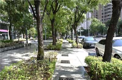 環境部今年進一步規畫「都市林」國家級種樹計畫，要讓都市降溫。圖為美術館地區三排喬木綠蔭。（高雄市都發局提供/中央社)