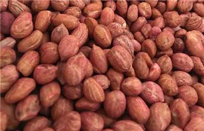 根據台美對等貿易協定(ART)，美國花生將可零關稅進口。(圖:FB/AmericanPeanutGrowers)