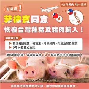 菲律賓同意恢復台灣種豬及豬肉輸入。 (圖:農業部)