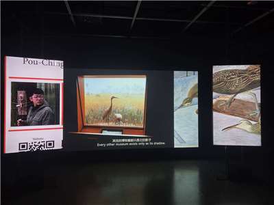 台北當代藝術館最新展覽《七日談—蔡咅璟個展》，探討人與動物之間是否能找到新的共存方式。(江昭倫 攝)