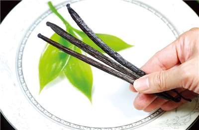 香草莢  本照片轉載自桃園農改場官網