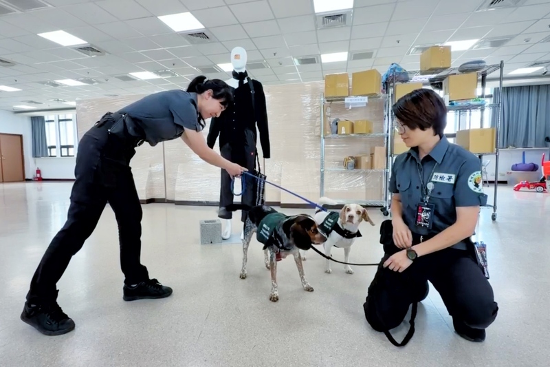 有日本旅客在網上貼出桃機檢疫犬凶狠表情的諧音哏宣導海報，引發台日網友熱議，桃園機場檢疫站4日表示，希望透過小狗吸引旅客注意，也會因應節日或特定活動更換不同宣導品。