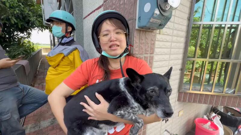 陳姓女子在網路懸賞新台幣50萬元協尋的走失米克斯犬「陳美琪」，26日在雲林縣二崙鄉夫家鄰居院子尋獲；陳姓女子緊抱「陳美琪」雙眼泛淚。（民眾提供）