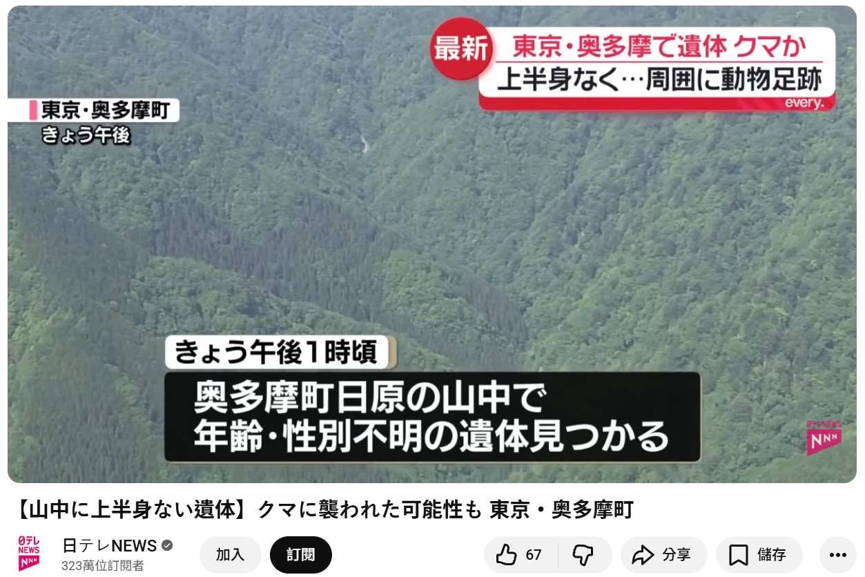 NHK World JAPAN 19日報導，有人在東京西部山區發現一具屍體殘骸，附近可見疑似大型動物的足跡，疑似熊隻攻擊。其他日媒稱該具屍體沒有上半身。(翻攝日テレNEWS YT)