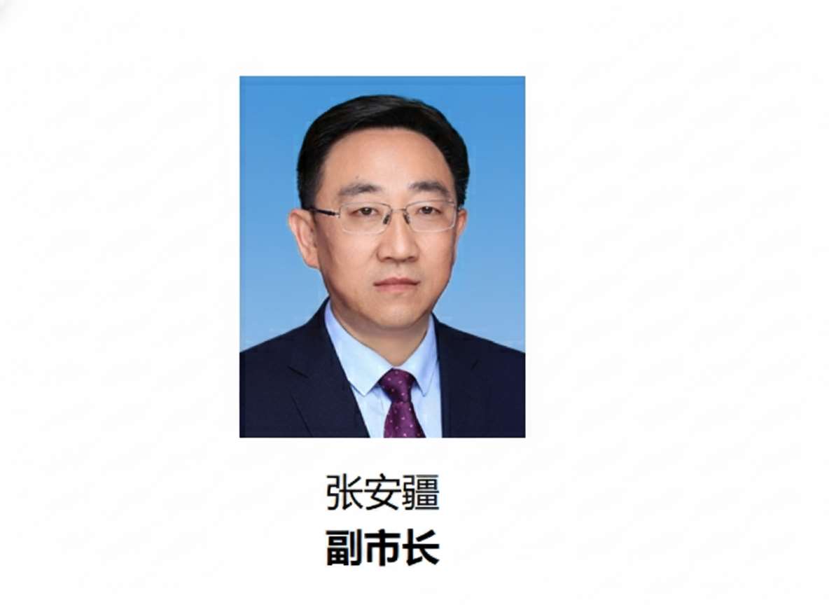 中國重慶市副市長兼公安局局長張安疆。(翻攝中國重慶市人民政府官網)