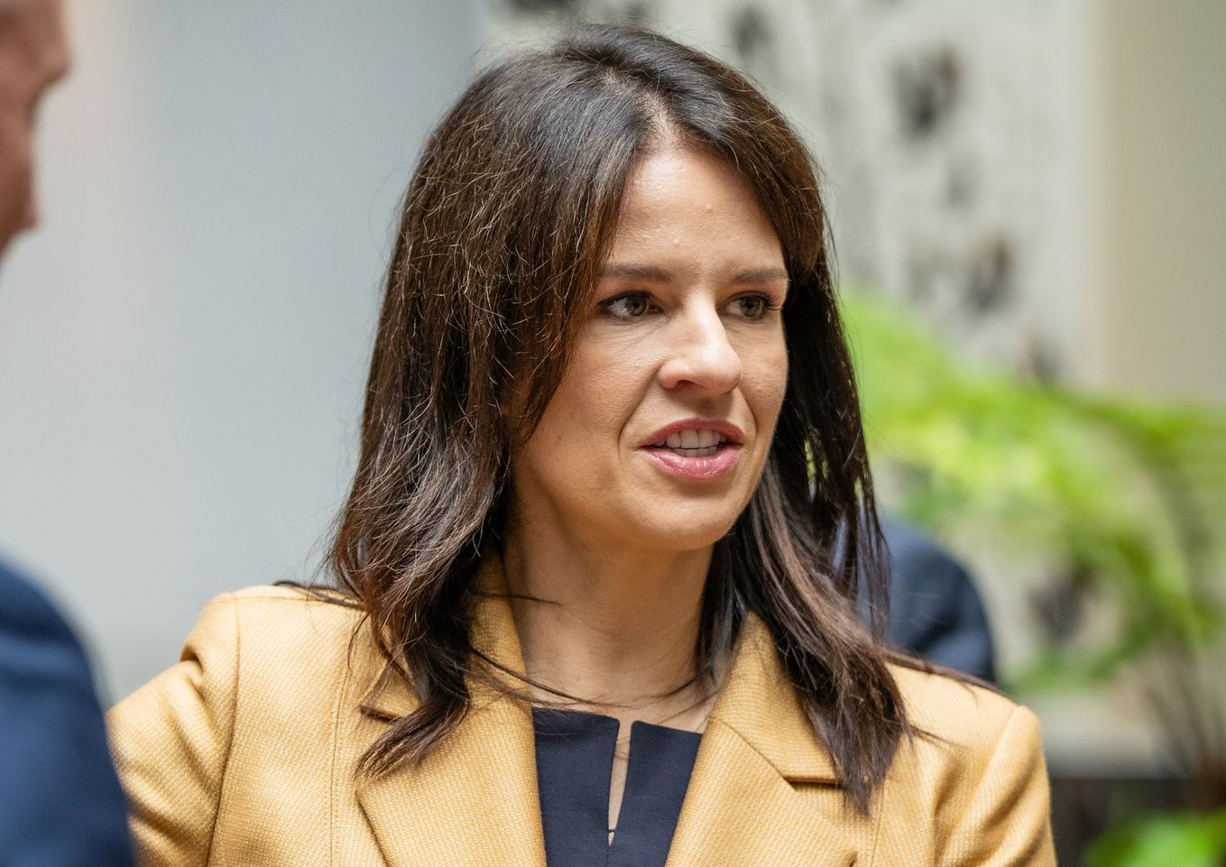紐西蘭移民部長史丹福(Erica Stanford)(圖)表示，將收緊對中階技術工作簽證申請的英語能力規定。資料照片。(FB/EricaStanfordECB)