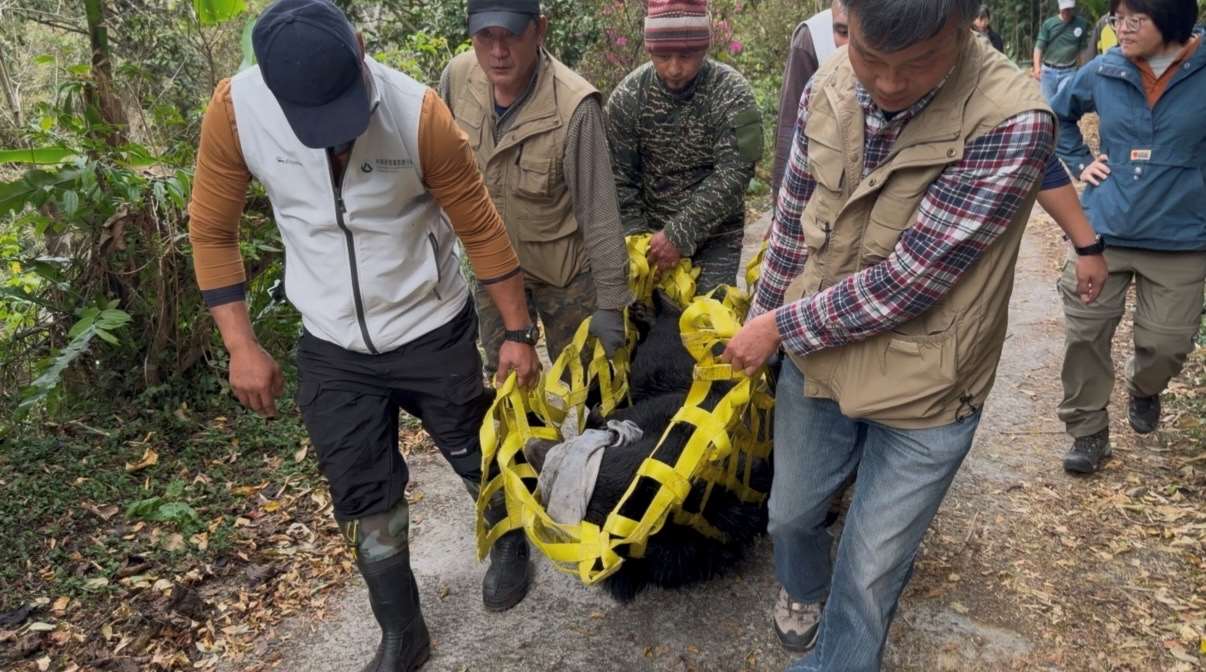 林業及自然保育署嘉義分署
黑熊生態給付攜手阿里山部落守護家園
