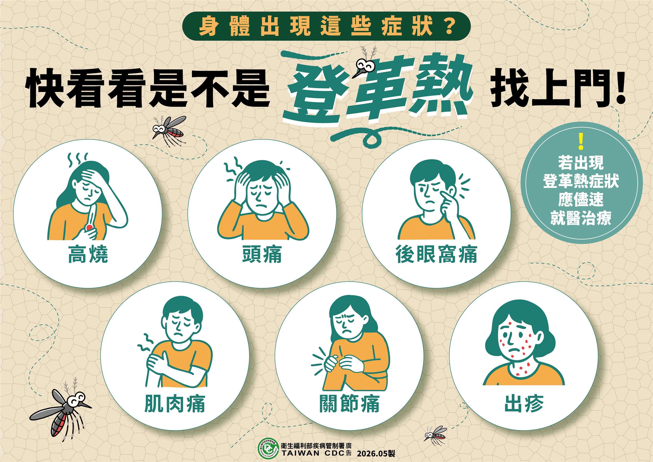 登革熱症狀。(疾管署提供)