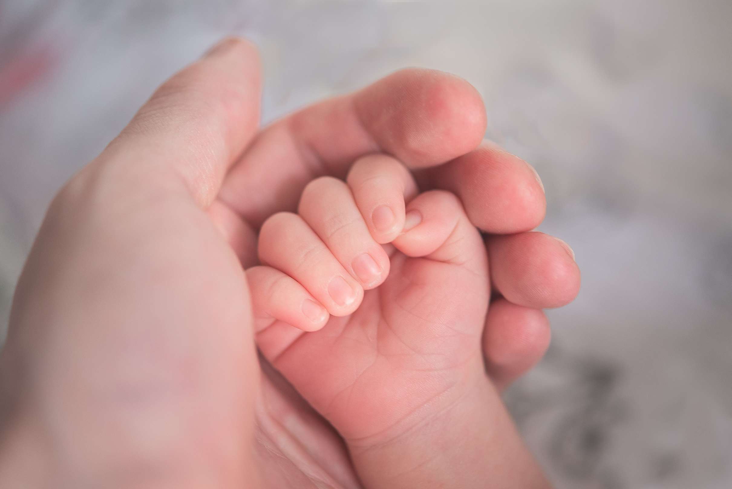 截至今年3月底，台灣人口數連續27個月負成長，少子女化議題備受關注。示意圖。(Unsplash圖庫)