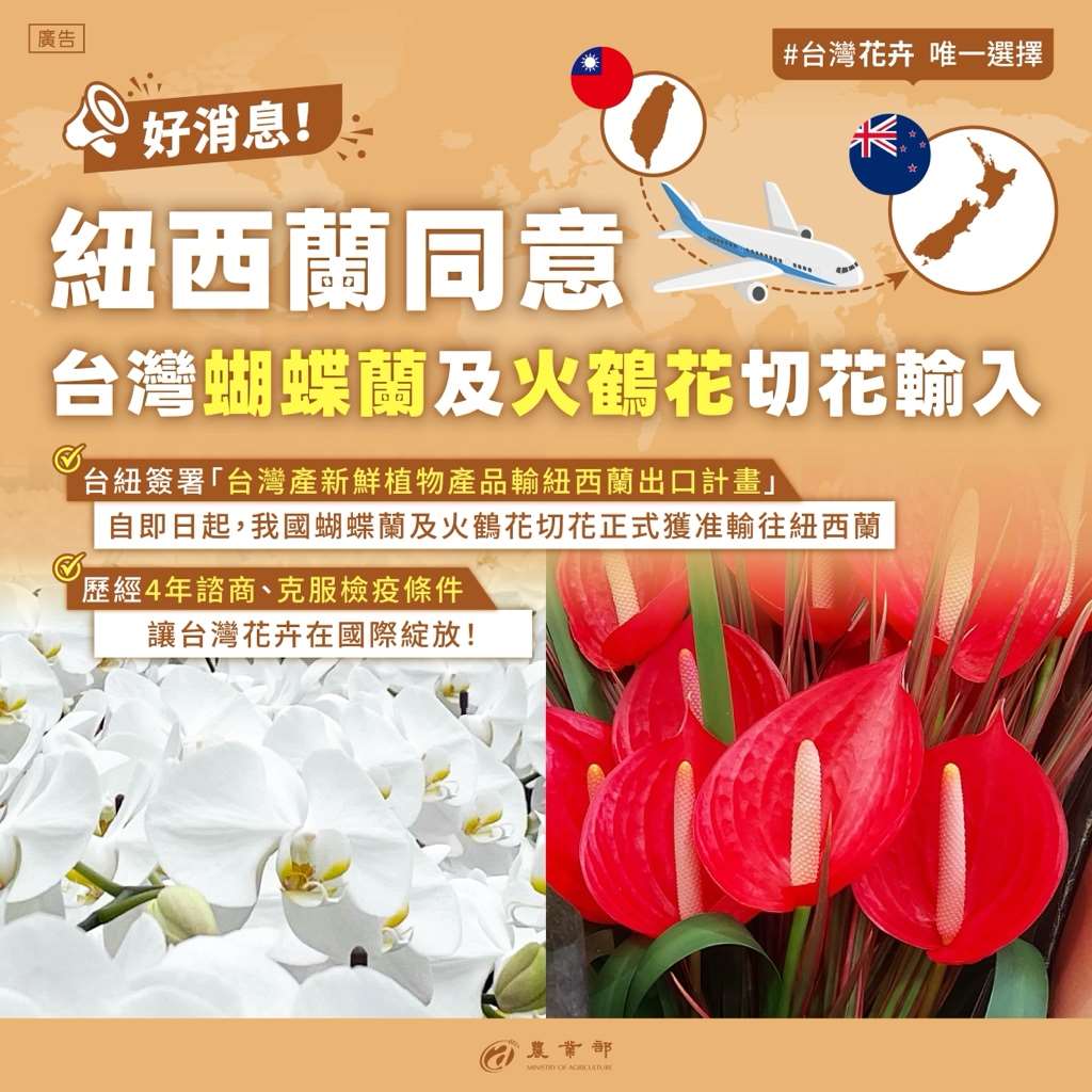 農業部12日表示，台紐雙方已簽署「台灣產新鮮植物產品輸紐西蘭出口計畫」，即日起台灣蝴蝶蘭及火鶴花切花正式獲准輸往紐西蘭。(圖：農業部提供)