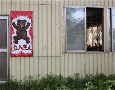日本各地近來野生熊出沒事件日益頻繁，即使在住宅區也屢見不鮮(圖)。有地方開始採用搭載人工智慧(AI)的監視器偵測熊，盼預防受害。資料照片