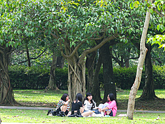 台北大安森林公園23日中午來到37.4度的高溫。資料照片。