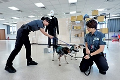有日本旅客在網上貼出桃機檢疫犬凶狠表情的諧音哏宣導海報，引發台日網友熱議，桃園機場檢疫站4日表示，希望透過小狗吸引旅客注意，也會因應節日或特定活動更換不同宣導品。