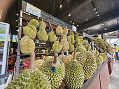 馬來西亞進入榴槤季，八打靈再也（Petaling Jaya）SS2夜市的榴槤攤位，擺滿各式各樣的榴槤。